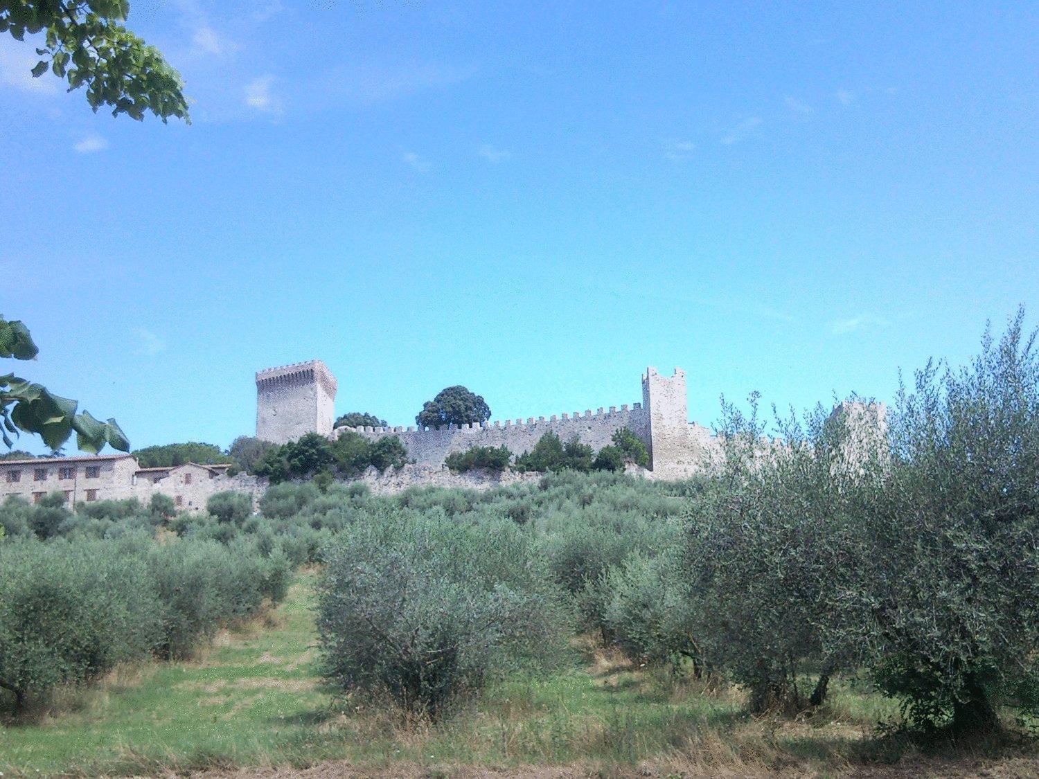 Hotel Trasimeno Bittarelli Castiglione del Lago Extérieur photo